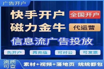 百度广告的定向投放与效果监控